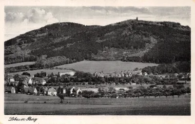 Löbauer Berg — vue panoramique du sommet avec château ruiné — éditeur Zittau Wagner, n° 14481