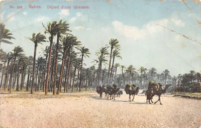 Gabès — Départ d'une caravane — Lehner & Landrock, Tunis, n° 528