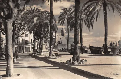 Paseo Ribera — vue du port avec église et palmiers — éditeur R. Jassó Fot. (SITGES - 151)