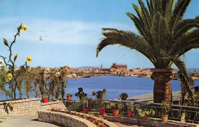Palma de Mallorca — vue depuis le terrain — éditeur Fotocolor Casa Planas