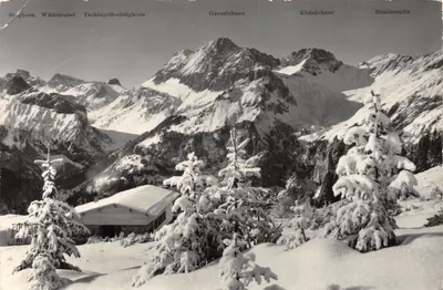 Vue des montagnes enneigées — Steghorn, Wildstrubel, Tschingellochtighorn, Grosslohner, Kleinlohner, Bonderspitz — éditeur Photo-Verlag Gyger, Adelboden