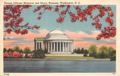 Thomas Jefferson Memorial and Cherry Blossoms, Washington, D. C. — éditeur CAPSCO, n° de série C-125