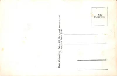 LIEZEN — vue aérienne du village et des montagnes — éditeur Hans Weichs & Co., Wien — Verso