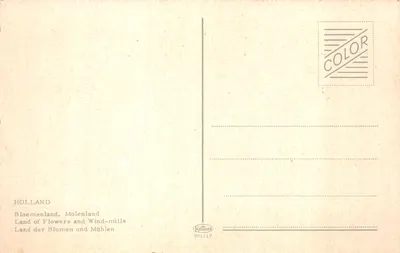 Moulin à vent — champ de tulipes rouges — Krüger 901/17 — Verso