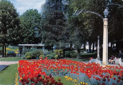 Aix-les-Bains — Le Parc Municipal fleuri — Éditions TÉLÉ, Impasse du Bd Léon-Blanc, Aix-les-Bains