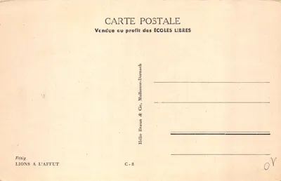 Lions à l'affût — scène de montagne avec mâle et femelle — éditeur Hélio Braun & Cie, Mulhouse-Dornach, n° C-8 — Verso