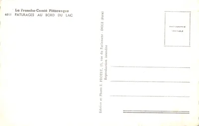 Paturages au bord du lac — scène de vaches pâturant près d'un lac avec forêt en arrière-plan — éditeur La Franche-Comté Pittoresque, n° 4911 — Verso