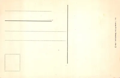 Strasbourg - Vue de la plateforme du cathédrale — éditeur J. F. Achard & Cie, Strasbourg — 뒷면