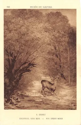 Chevreuil sous bois — œuvre de G. Courbet — Musée du Louvre — éditeur Braun & Cie, Paris