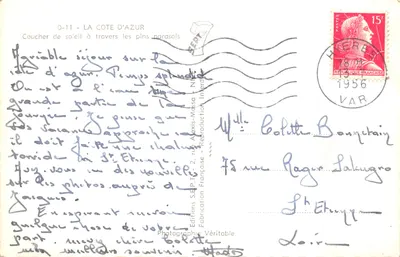 Côte d'Azur — Coucher de soleil à travers les pins parasols — Éditions S.E.P.T. - Reproduction Interdite — 뒷면