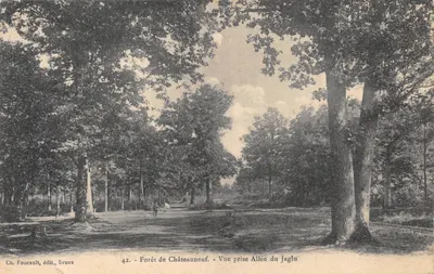 Forêt de Châteauneuf — Vue prise Allée du Jaglu — Ch. Foucault, édit., Dreux, n°42