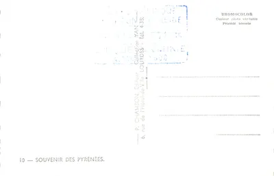Lourdes et la Chaîne des Pyrénées — vue panoramique avec noms des sommets — éditeur P. CHAMBON, rue de l'Hôtel-de-Ville, Lourdes — 뒷면
