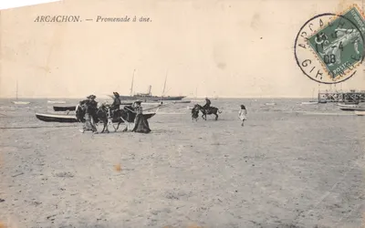 Arcachon — Promenade à âne. — Éditeur : Arcachon, n° 408