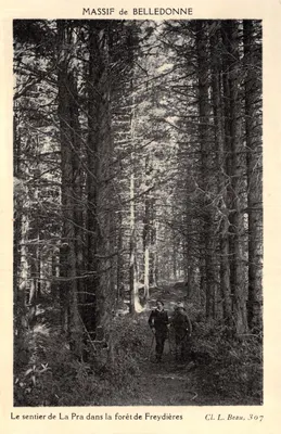 Sentier de La Pra — forêt de Freydières — Cl. L. Beau, 307