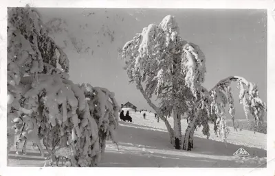 Gérandner - La Schlucht (alt. 1159 m.) — Effet de neige — éditeur «Real-Photo» G. A. P. Strasbourg