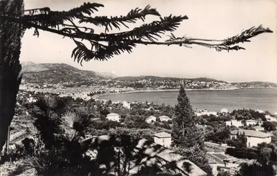 Vue générale prise de la Lanterne — Nice — Éditions « Wilco », n° 139
