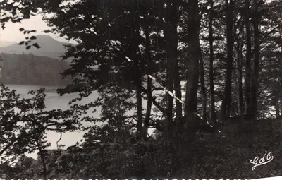 Lac Pavin — Vue depuis les allées sous-bois — Édition G.d'O