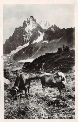Chamonix-Mont-Blanc — Les Grands Charmoz - Scène Champêtre — L. Morand, éditeur (Haute-Savoie) n°1019