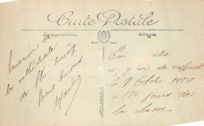 Strasbourg — Intérieur de la Cathédrale — éditeur Lévy Fils & Cie, n°12 — 背面