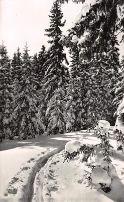 La Franche-Comté — Piste dans la neige (Dole) — Édition et Photo E. PROTE, 15 rue du Panthéon, Dole