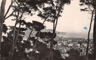 Vue Générale de Nice — vue depuis les pins — Éditions MAIO, n° 695