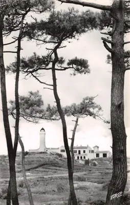 Le phare de La Tranche-sur-Mer — à travers les pins — Édition de l'Europe, Sarreguemines