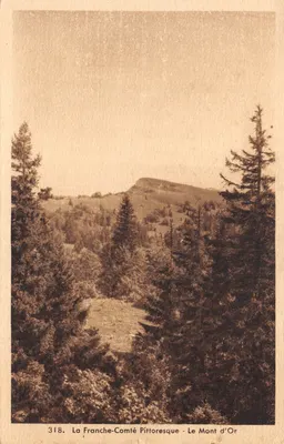 Le Mont d'Or — vue panoramique depuis une forêt — éditeur E. Protet, Dole (Jura) — n° de série 318