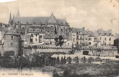 Vannes - Les Remparts — vue de la cathédrale et des remparts avec serres au premier plan — éditeur VANNES, n° 74