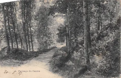 Paysage du Centre — chemin forestier bordé d'arbres — éditeur imprimeur non visible, n° de série 4