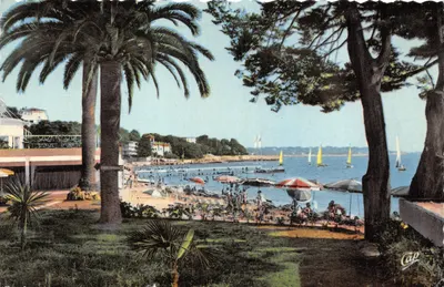 Plage de Juan-les-Pins — vue depuis un parc avec palmiers et voiliers — éditeur Cap