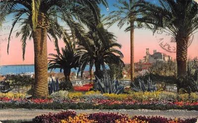 Cannes — Jardin avec palmiers et vue sur la mer — Édit. D'ART. ROSTAN & MUNIER, N° 443
