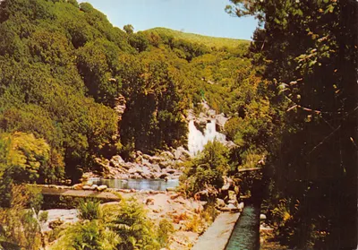 Cascade dans la forêt — Levada caractéristique de l'île — Bernardino V. G. Carvão, Funchal