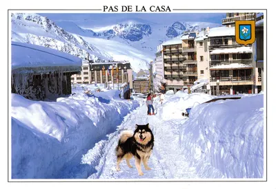 Pas de la Casa — vue hivernale avec chien d'Alaska — éditeur FISA - ESCUDO DE ORO, S.A