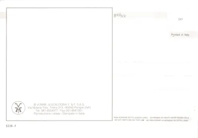 Pompei — vue panoramique des ruines, du théâtre et du mont Vésuve — éditeur VI.MAR. di SCALOGNA V. & F. S.A.S — पीछे