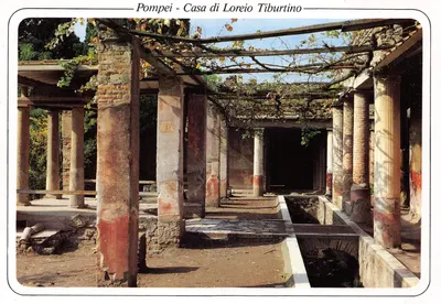 Pompeii - Casa di Loreio Tiburtino — loggia porticata, éditeur CO.GRAF s.r.l