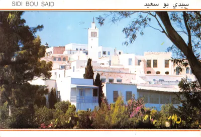 Sidi Bou Said — vue panoramique des maisons blanches et de la mosquée — Éditions Kahia