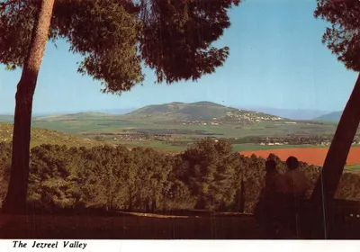 La Vallée de Jezréel — vue depuis la forêt de Balfour — éditeur PALPHOT LTD. HERZLIA