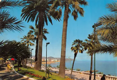 Sanremo — Jardins de la Riviera des Fleurs — Rivier Vision