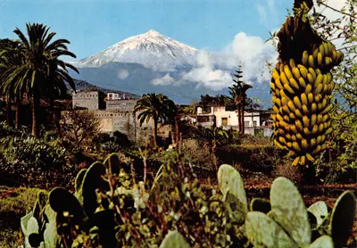 Tenerife — vue du volcan Teide avec bananier et palmiers — Éditions Ro-Foto