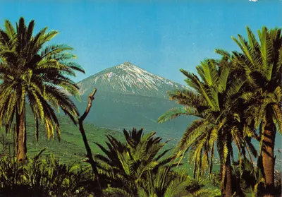 Teide — montagne enneigée vue entre palmiers — éditeur EURIMPEx, n° TE 147