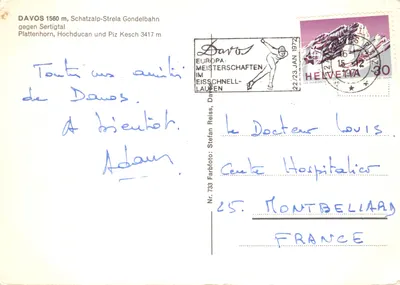 Canyon des Alpes — vue depuis la Schatzalp-Strela Gondelbahn — éditeur Stefan Reiss, n° 733 — पीछे