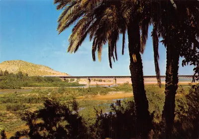 Paysage avec pont — vue depuis des palmiers — Société Nationale d'Édition et de Diffusion, Algérie