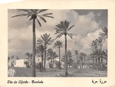 Île de Djerba - Tunisie — paysage de palmiers et bâtiments blancs — éditeur EPT