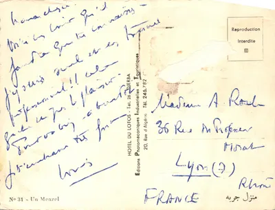 Île de Djerba - Tunisie — paysage de palmiers et bâtiments blancs — éditeur EPT — पीछे
