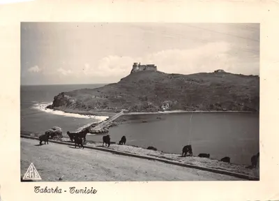 Cabarka - Tunisie — vue du château sur colline et troupeau près de la mer — éditeur ETA