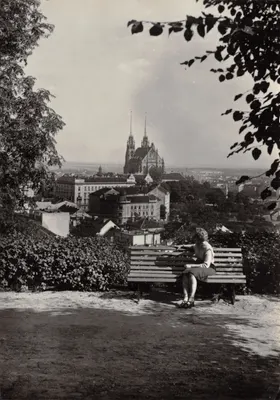 Vue de Prague — Cathédrale Saint-Vitus en arrière-plan — éditeur non visible