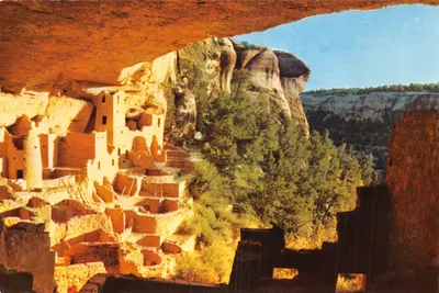 Cliff Palace — Mesa Verde National Park — éditeur H.-S. Crocker Co. Inc. n° MV-1