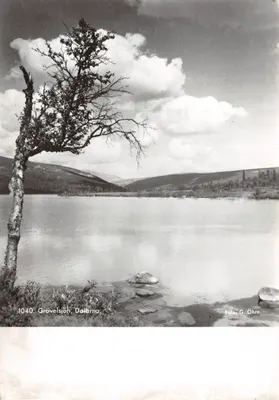 Grövelsjön, Dalarna — lac entouré de montagnes avec arbre isolé — éditeur: Foto G. Öhrn, n° 1040