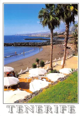 Plage de Playa de las Américas — vue depuis un jardin avec parasols — éditeur SOLAJERO, n° 1069 TF