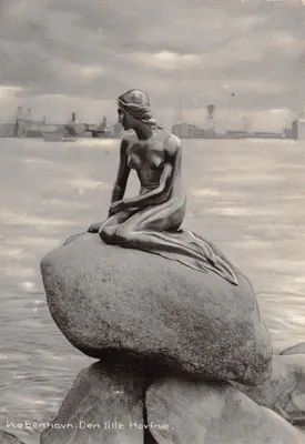Copenhague. La Petite Sirène — statue sur rocher, vue portuaire — éditeur Stenders Forlag, n° 8.9